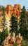 The pines and hoodoos landscape, Bryce Canyon National Park