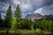 Pines and Lassen Peak, Lassen National Park`