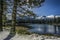 Pines and Lassen Peak after snow storm, Manzanita Lake, Lassen Volcanic National Park