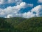 Pines and rocks landscape