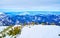 The pines in snow, Alberfeldkogel mount, Ebensee, Salzkammergut, Austria