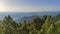 Pines on top of mountains, hiking before sunset, soft colors and shadows. View above valley during summer time. landscape Suchy in