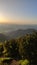 Pines on top of mountains, hiking before sunset, soft colors and shadows. View above valley during summer time. landscape Suchy in