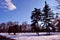 Pines and trees without leaves black silhouettes, white snow, background of blue winter cloudy sky