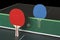 Ping Pong Paddles on Table, standing upright