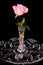 Ping rose in crystal vase