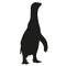 Pinguin silhouette