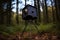 pinhole camera assembled on tripod in nature