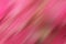 Pink abstract background with lines, in digital blur motion effect backgrounds. Motif pattern texture backdrop.
