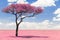 Pink acacia tree in savanna with infrared effect