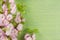 Pink almond spring flowers bouquet on branch with green leaves on wooden background with copy space