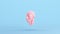 Pink Anatomical Ecorche Human Head Medical Musculature Sculpture Profile Model Blue Kitsch Background