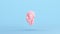 Pink Anatomical Ecorche Human Head Medical Musculature Sculpture Profile Model Blue Kitsch Background Quarter Left View