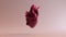Pink Anatomical Heart