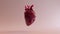 Pink Anatomical Heart