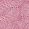 Pink Animal Leopard Seamless Background