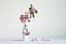 Pink apple spring flowers in vase on white background