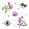 Pink apple tree blossoms and bee watercolor set. Tender garden spring flowers and bumblebee element collection. Spring