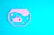 Pink Aquarium with fish icon isolated on blue background. Round glass aquarium. Aquarium for home and pets. Minimalism