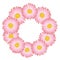 Pink Aster, Daisy Flower Wreath. Vector Illustration