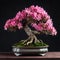 Pink Azalea Bonsai Tree On Dark Background With Detailed Petals