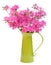 Pink azaleas in green jug