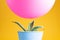 Pink balloon hovering above green cactus