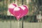 Pink balloons grouping into heart shape, outdoor in vintage colo