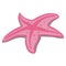 Pink beach starfish