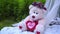 Pink bear with flowers decoration. White bear toy. Teddy bear