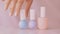 Pink beauty product scene, female hands and nailpolish bottles for french manicure, colourful pastel nail polish on