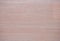 Pink beech, a flat surface of natural light wood with a striped pattern close-up