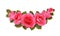 Pink begonia flowers in a floral arrangement isolated