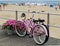 Pink Bicycles