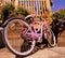 Pink bike