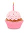 Pink birthday cupcake