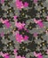 Pink and Black cherry blossom Floral Seamless Pattern