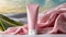 Pink blank cream tube. Package mock up for beauty product