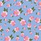 Pink blooms seamless vector pattern on blue
