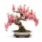 Pink Blossom Bonsai Tree: Stunning Floral Art Under Glass