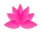 Pink blossom logo icon