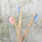 Pink and blue bamboo toothbrush in a glass beaker nobody, square format. Social environmental