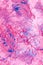 Pink and blue chaos mixed paint background. Minimal abstract creamy texture, make-up creative wallpaper concept