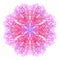 Pink-blue mandala, boho chic style, patchwork background. Vector illustration, Great design element for congratulation