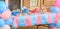 Pink and Blue, Outdoor Gender Reveal Party Decorations