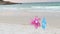 Pink and blue pinwheels toy spinning on white sand beach, two colorful wind turbines windmill on the beach in the morning with s