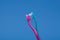 Pink and blue toothbrushes arranged like couple kissing