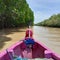 pink boat down the river in the middle of the mangrove forest