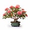 Pink Bonsai Tree In Glass Pot: Cloisonnism Style Associated Press Photo