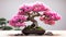 Pink Bonsai Tree: Hyper-realistic Still Life With Uhd Image